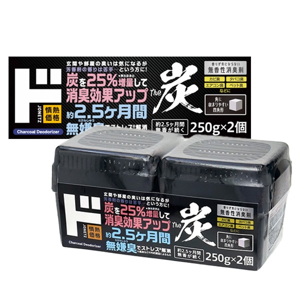 炭消臭剤250g&times;2P